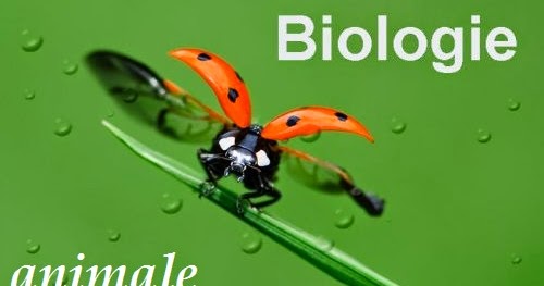 Biologie animale embryologie pdf to word